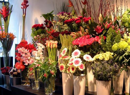 mejores floristerias en colombia